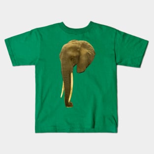 Portrait of an Elephant Kids T-Shirt